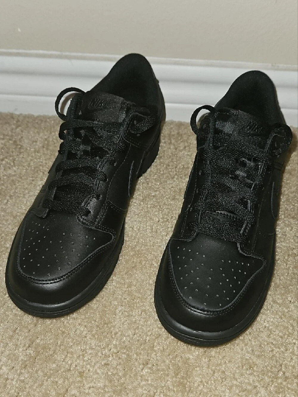 Nike Dunks LOW